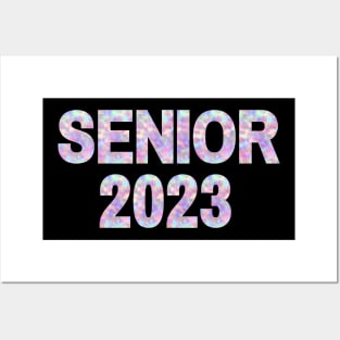 Senior Class of 2023 tie dye Posters and Art